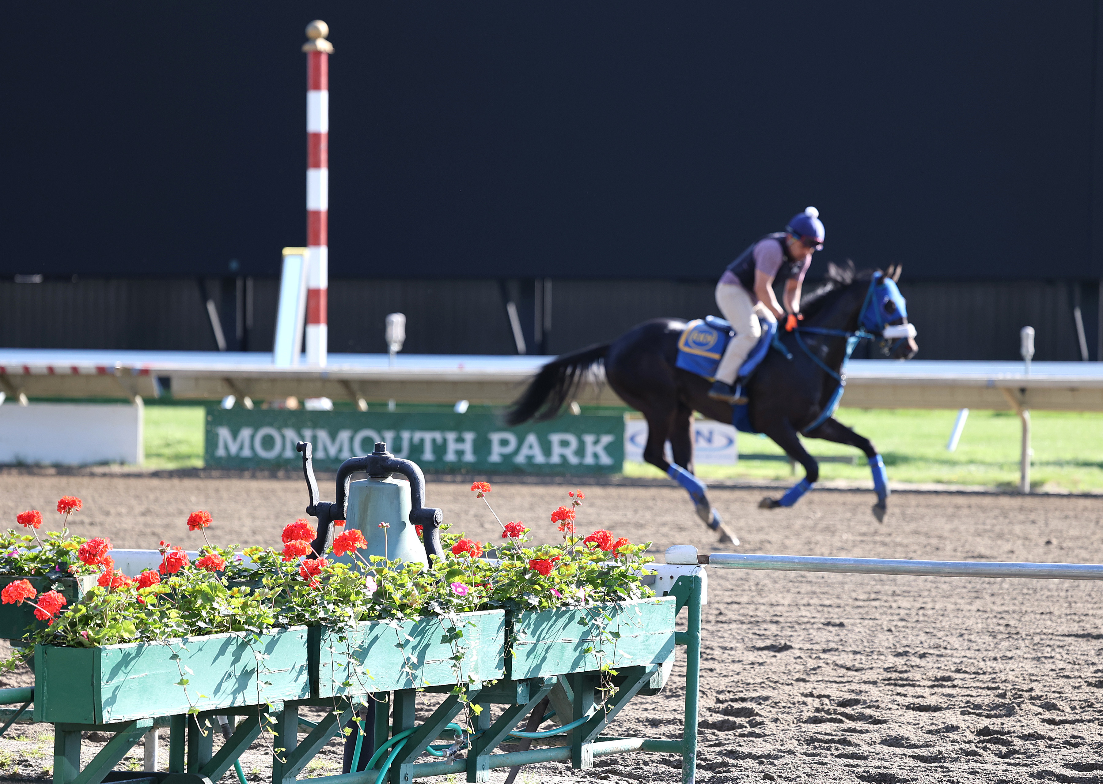 Monmouth Park Horse Racing Track News DRF